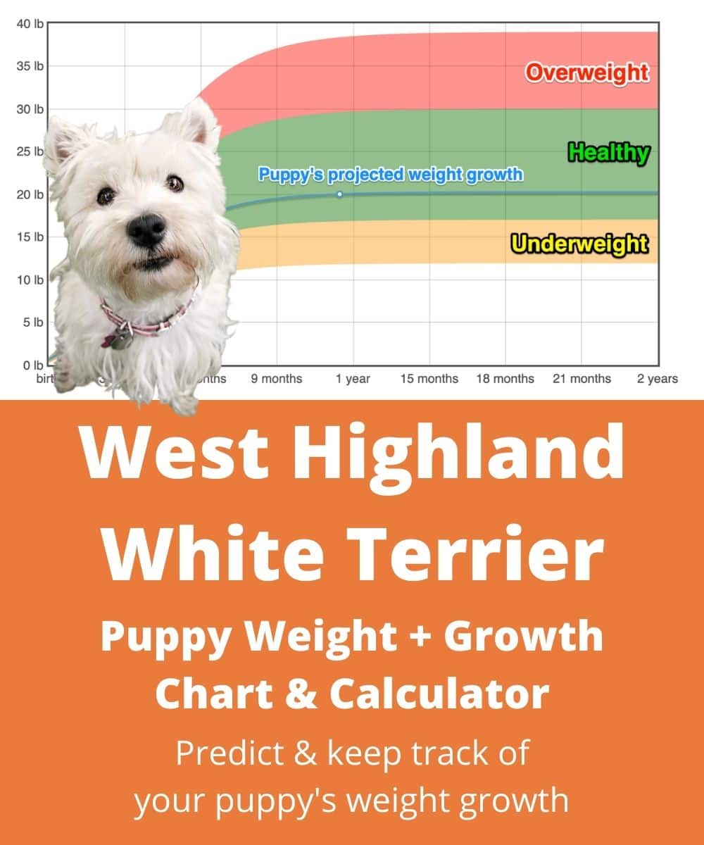 west-highland-white-terrier Puppy Weight Growth Chart
